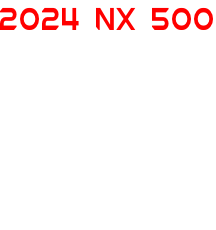 2024 NX 500